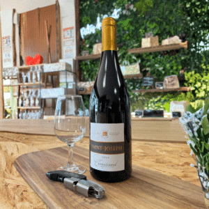 Verre de Saint-Joseph rouge robe rubis violette Syrah Rhône Nord terrasses granitiques